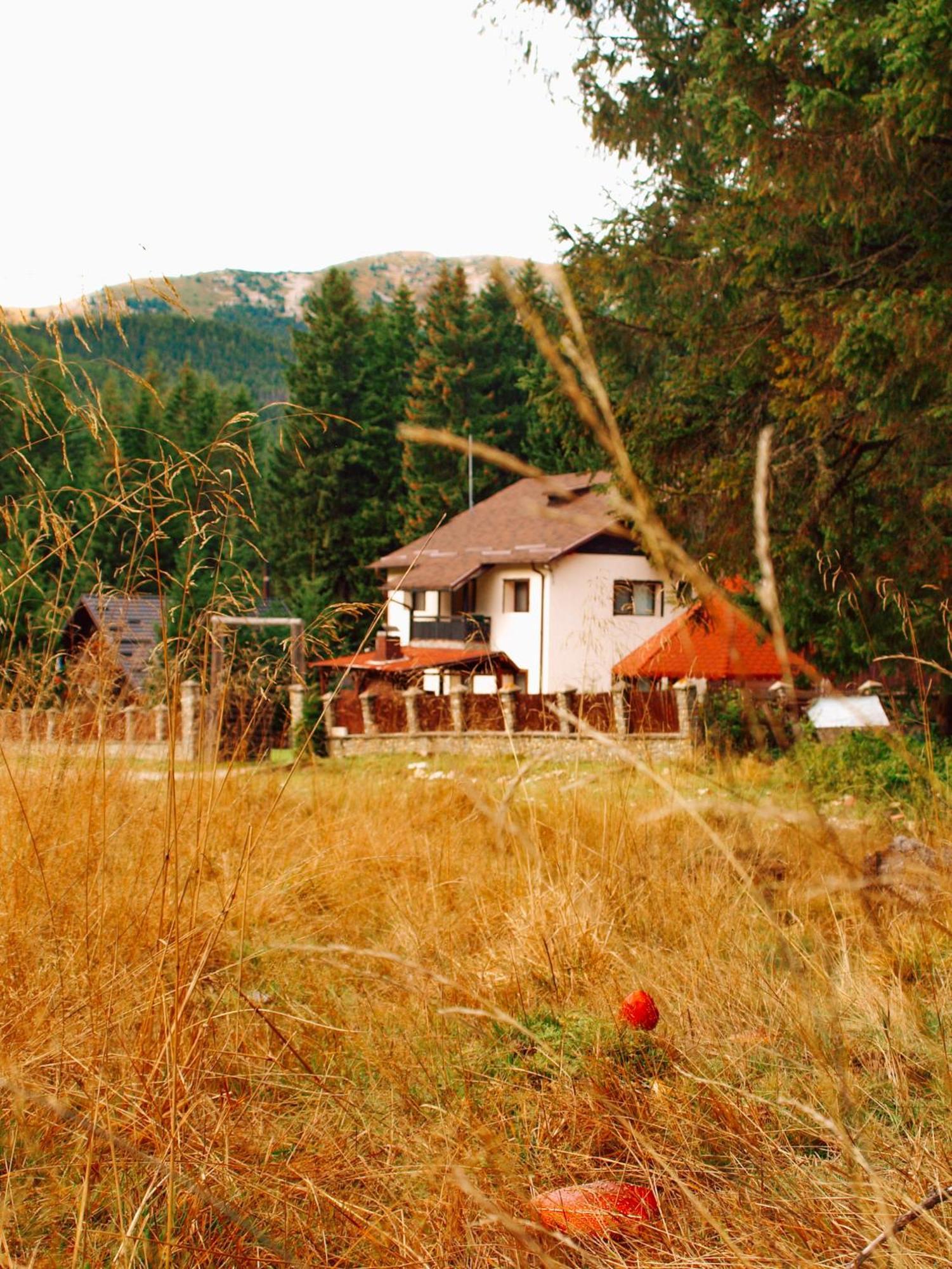 Villa Mounthoff Retreat Moroeni Exterior foto